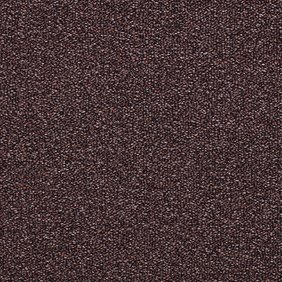 Paragon Colourquest Sherpas Delight Carpet Tile